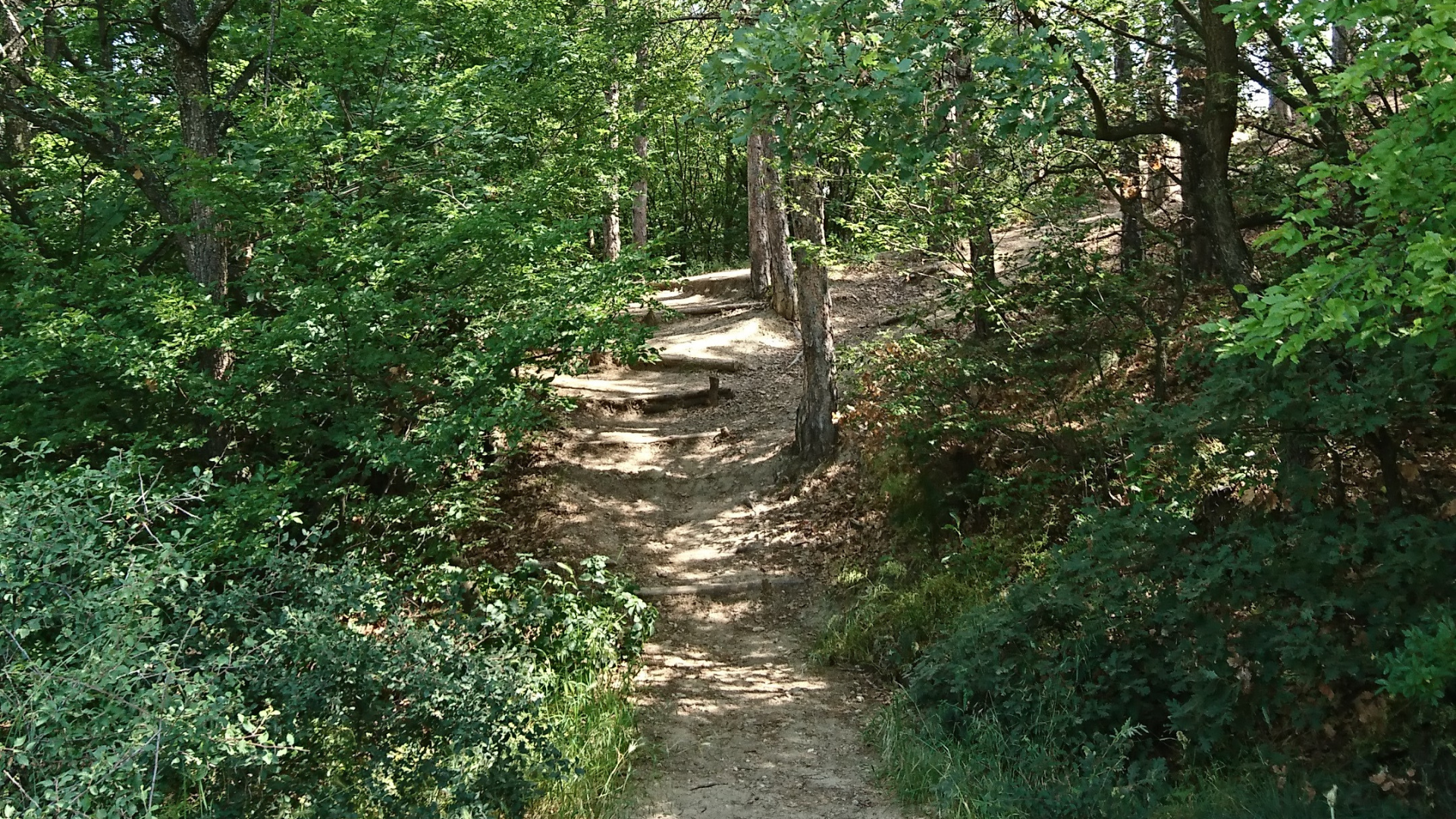 Bulgaria | Wooded Path to Stob Pyramids 