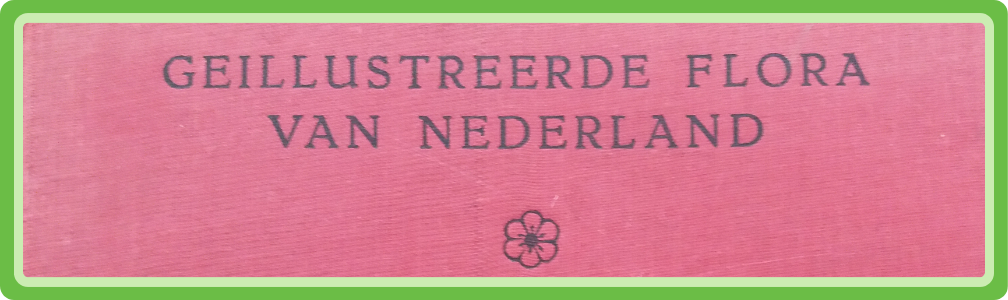 Omslag van het boek Geïllustreerde flora van Nederland door Jac. P. Thijsse e.a.