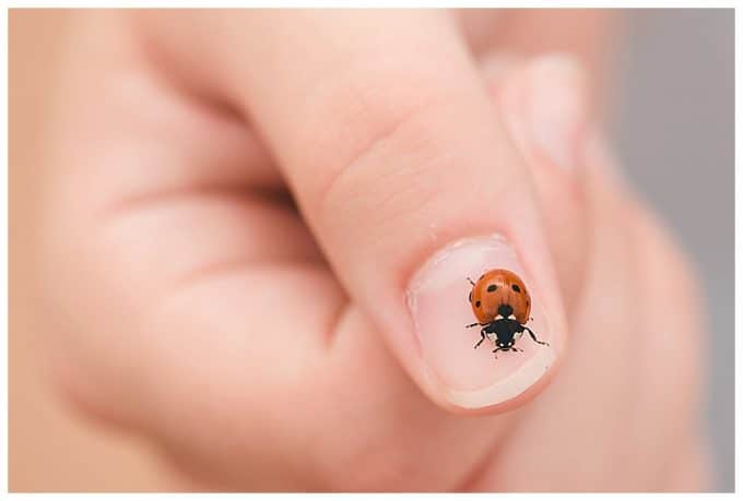 A close up shot of a hand with a ladybug crawling across a thumbnail. The thumb acts as a leading line with is a photography composition rule. 