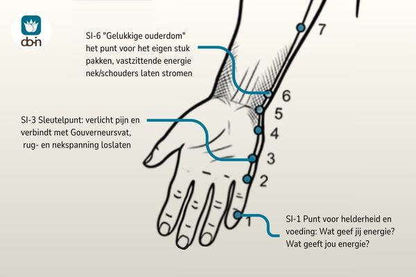 Anatomische tekening van de Dunne Darm meridiaan met drukpunten langs de hand en pols in Do-In Yoga stijl.