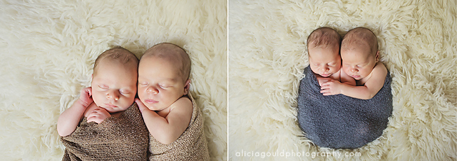 how to wrap newborn for photography including twins