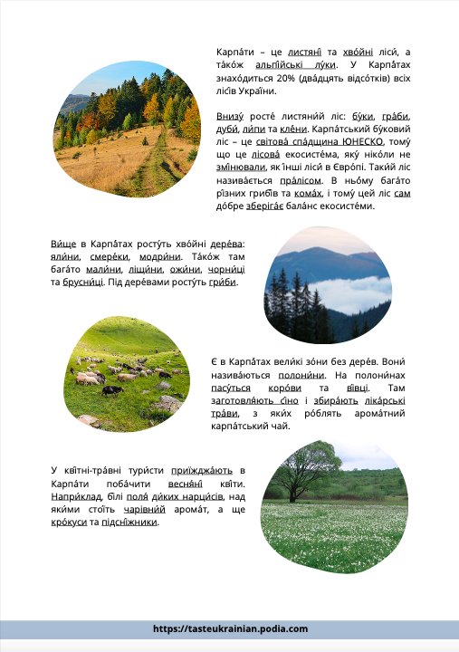 a page from the lesson about the Carpathians