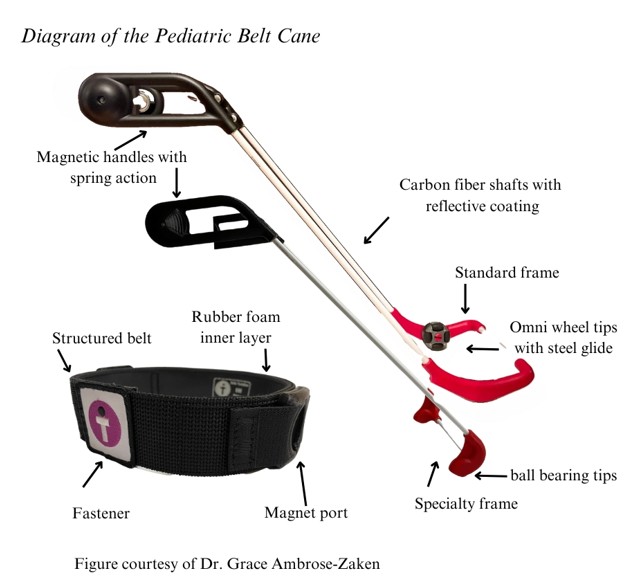 diagram of the pediatric belt cane parts