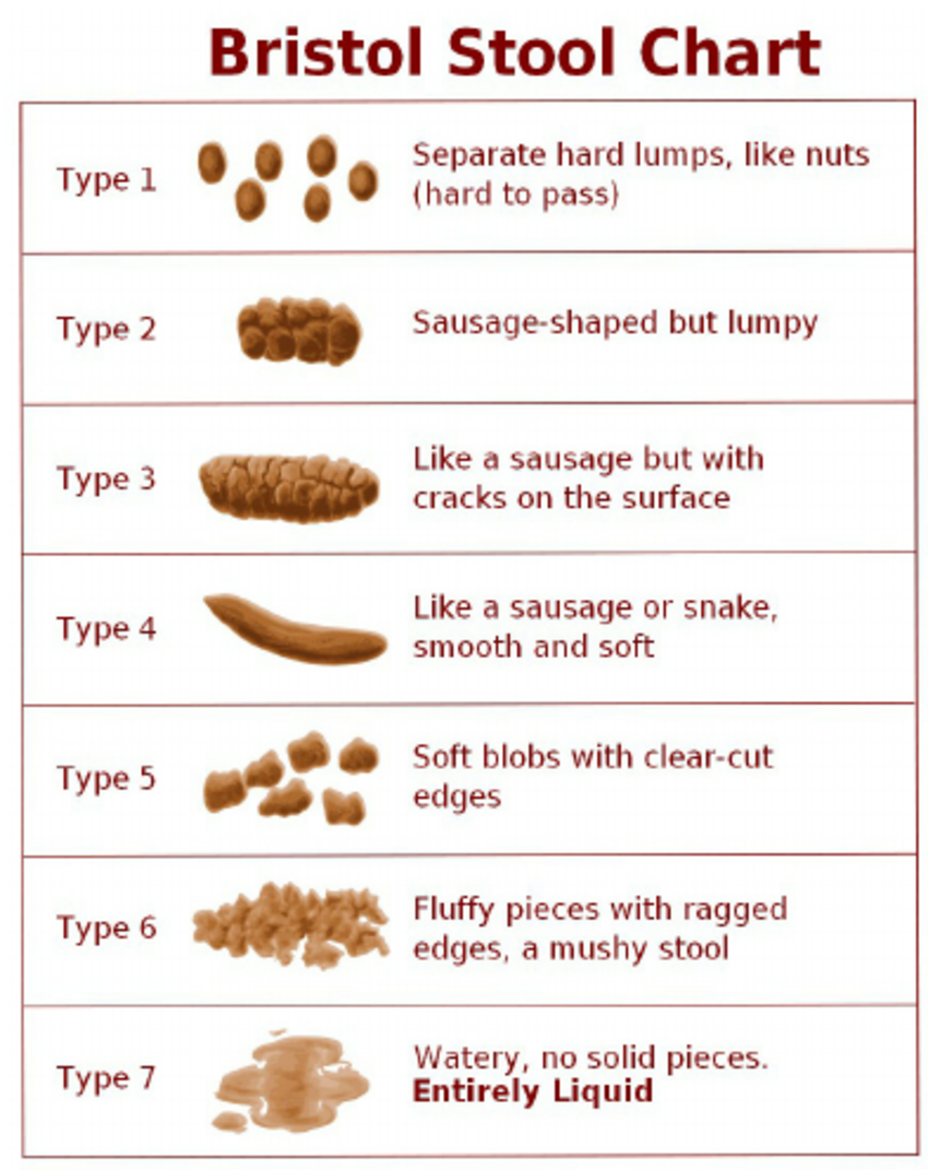 Stool Chart