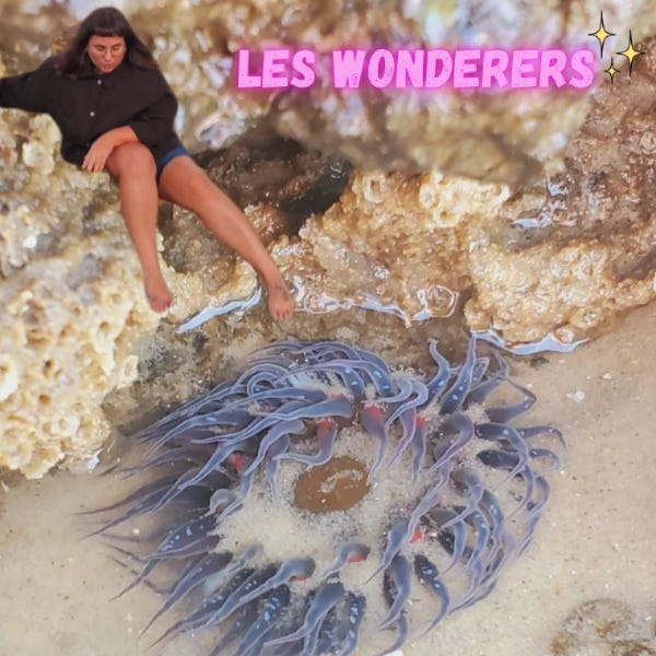 Montage-photo où on me voit assise sur un rocher avec mon pied qui effleure une anémone de mer mauve qui apparaît comme géante. Le titre Les Wonderers est écrit en majuscules rose vif dans le coin supérieur droit.