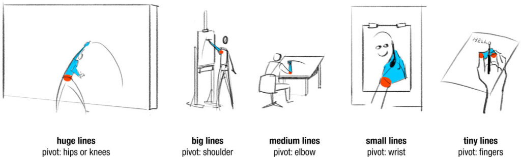 smooth lines through body pivot points