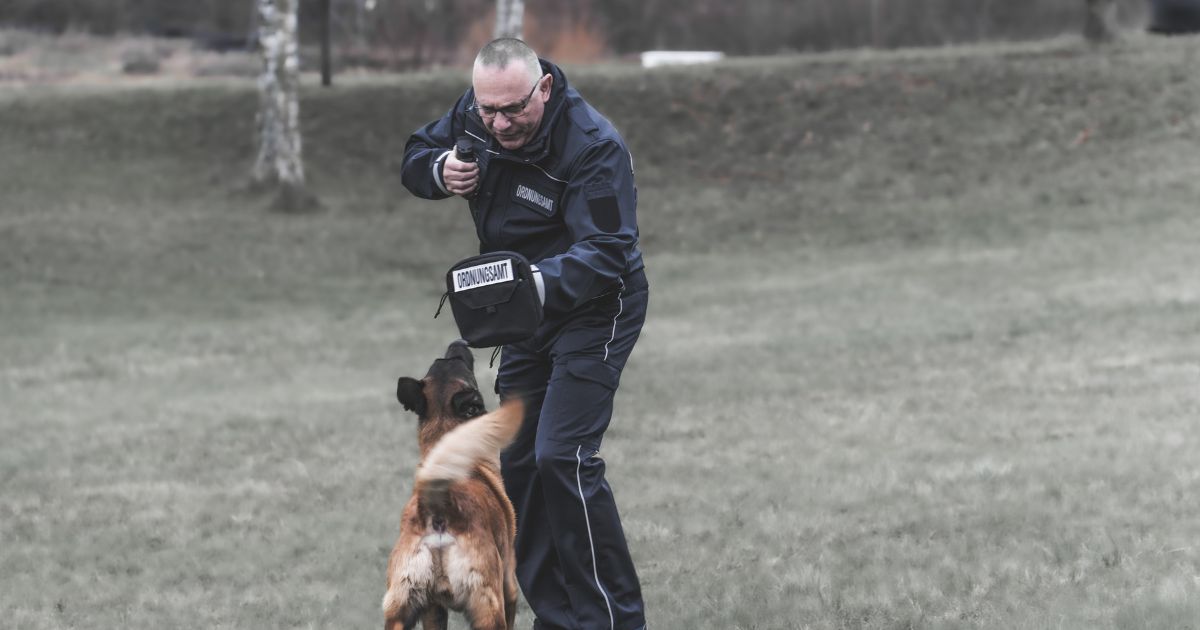 Quickshield in der Abwehr gegen einen Hund