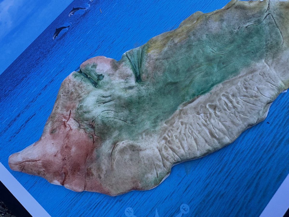 LitWits project for Island of the Blue Dolphins - island painted