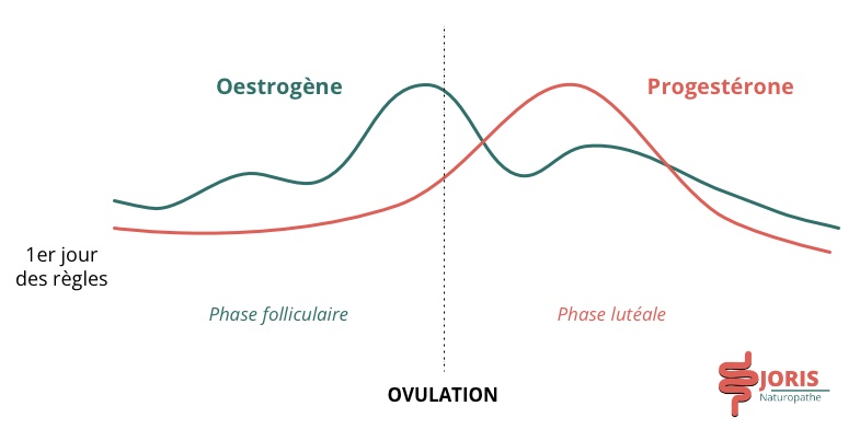 Ventre gonflé pendant les règles