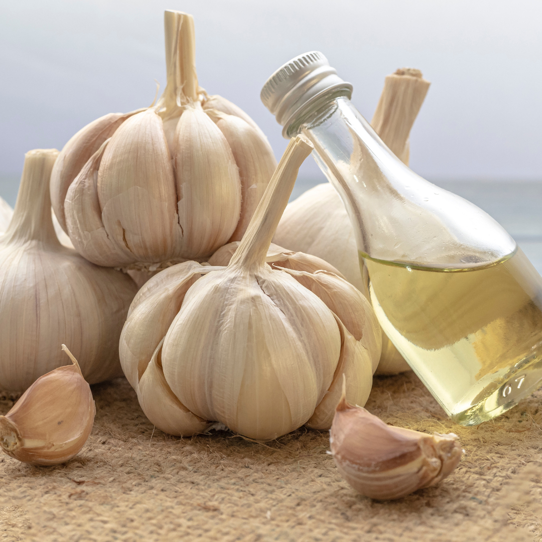 garlic oil as medicine
