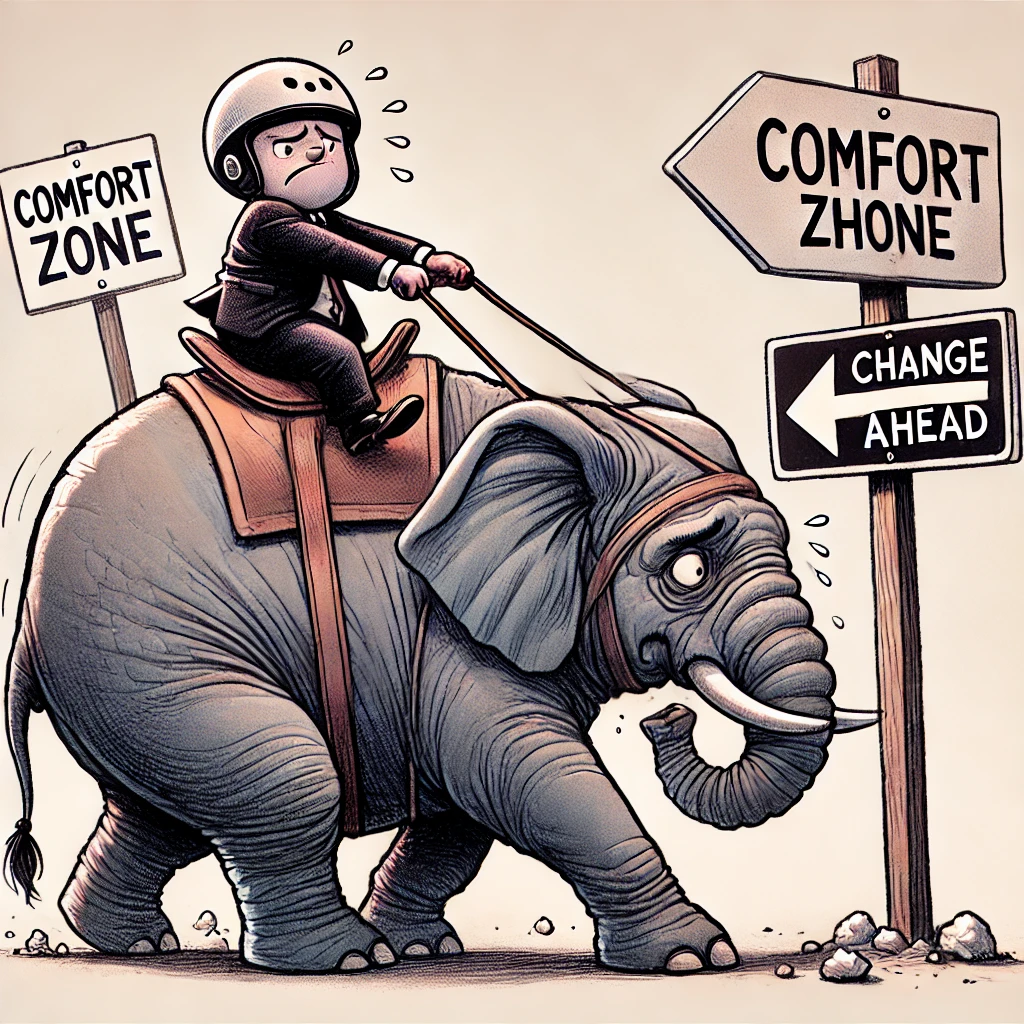 Rider on top of an Elephant