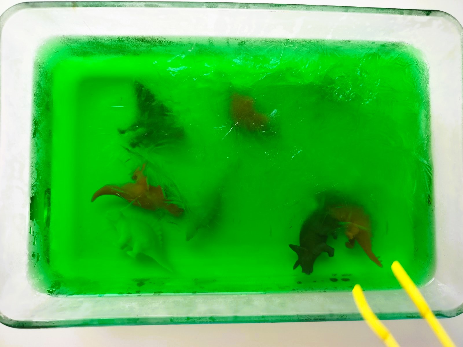 dinosaur jello rescue