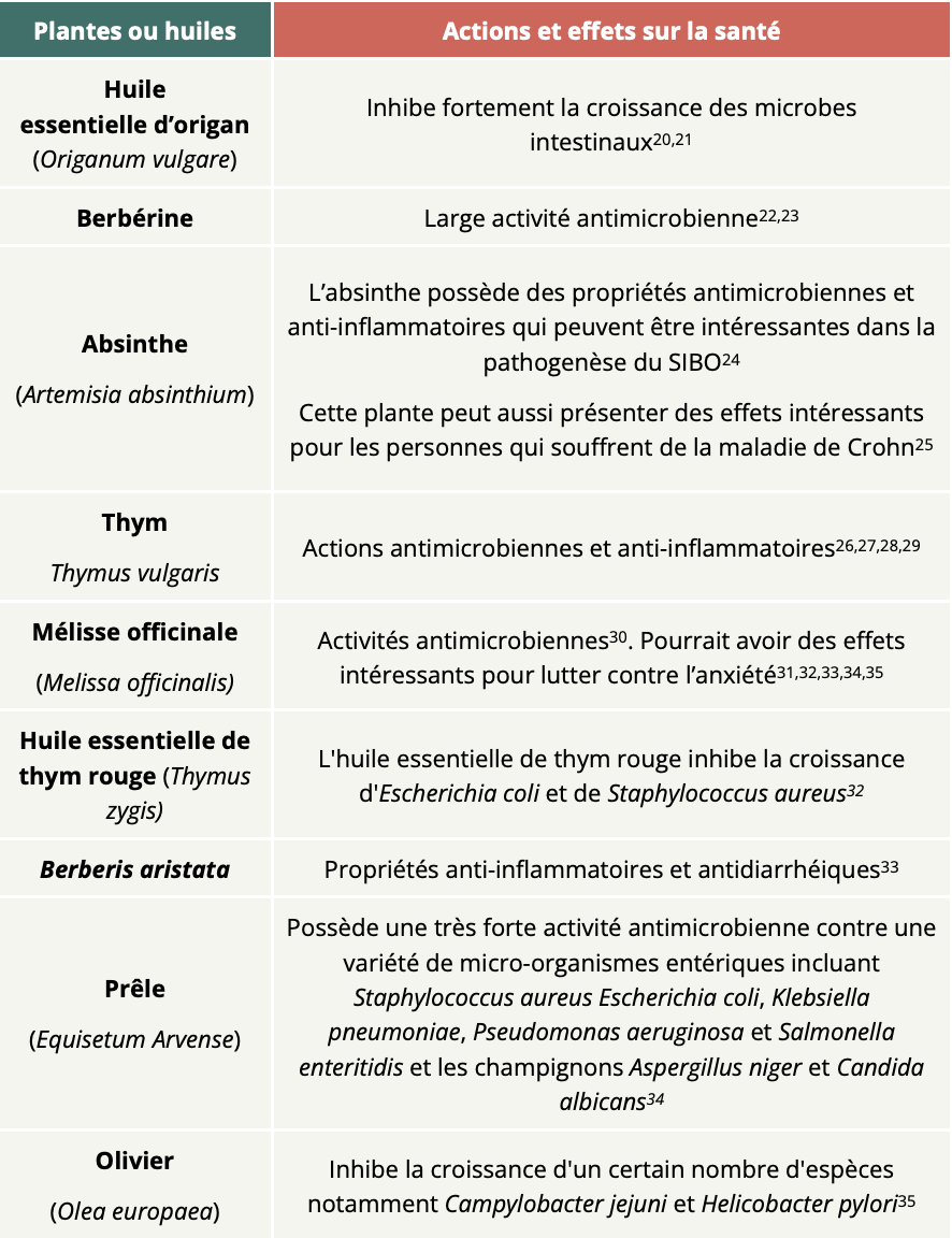 plantes antimicrobiennes