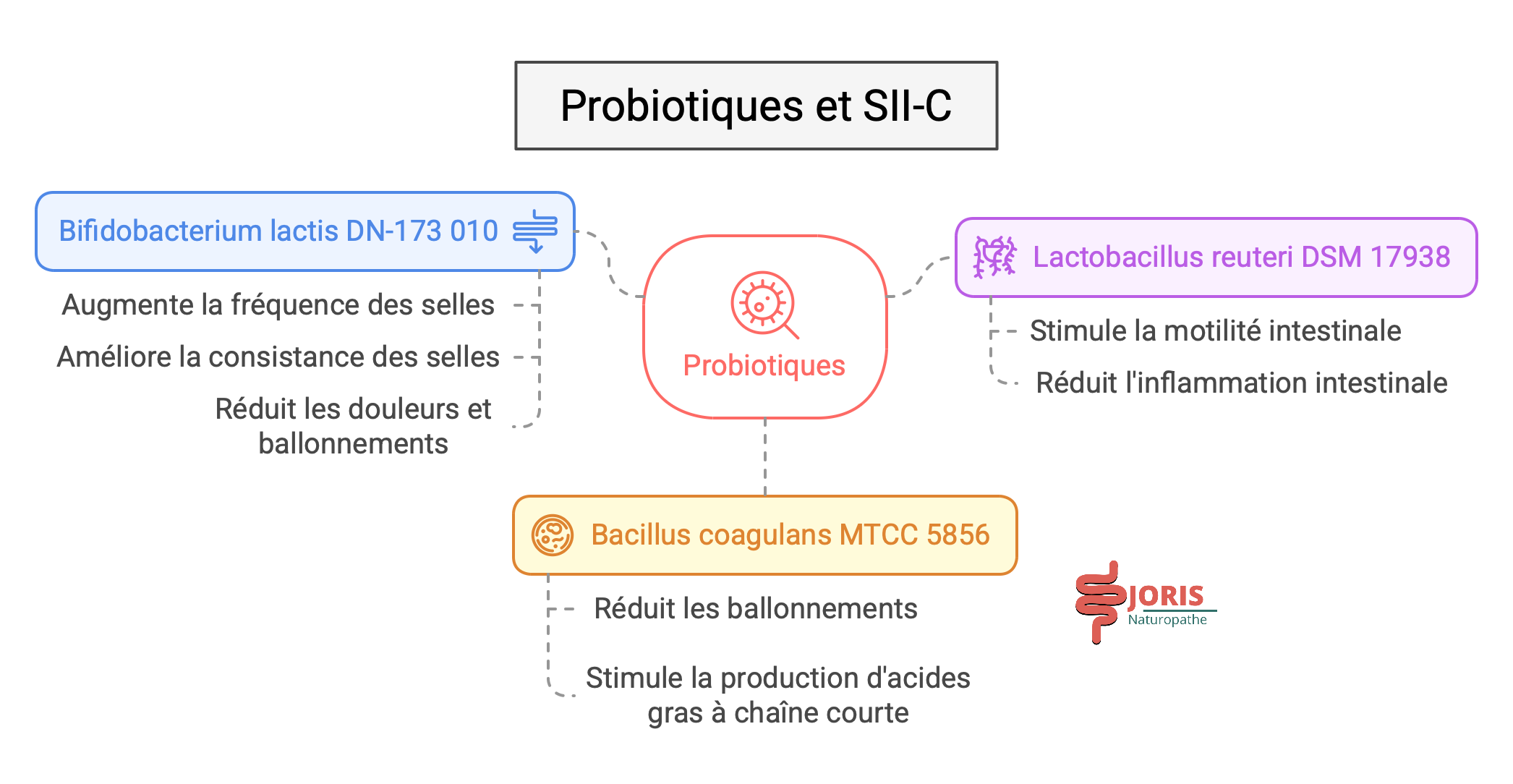 probiotiques pour SII-C