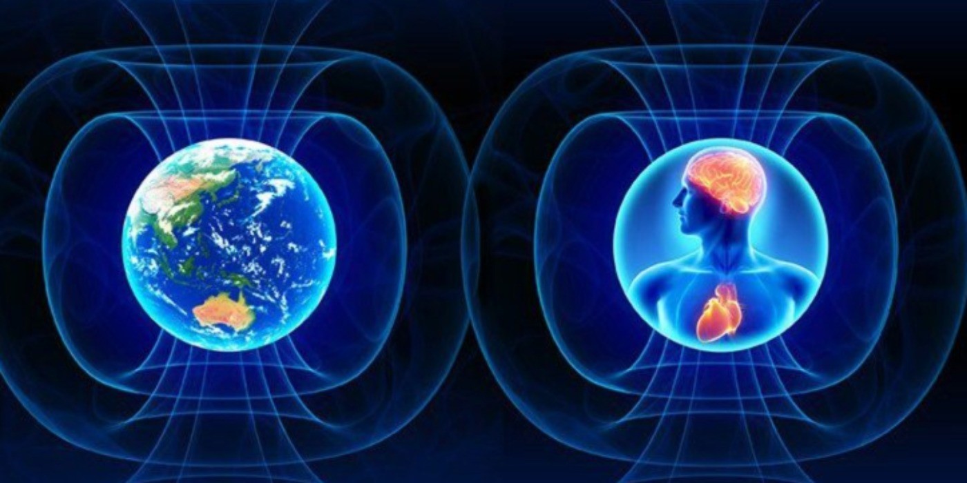 Coherence terre et humain