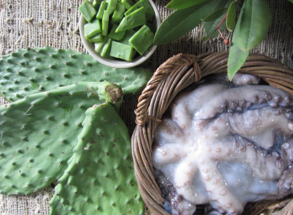 Cactus and octopus - props for teaching ISLAND OF THE BLUE DOLPHINS by Scott O'Dell
