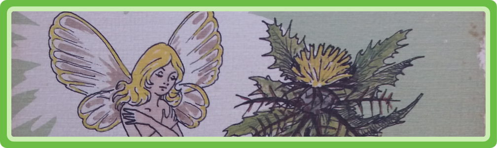 Omslag van boek Folklore van wilde planten