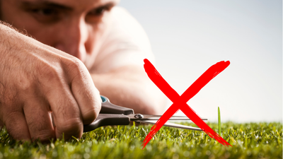 Croix rouge sur la main d'un homme qui coupe au ciseau un brin d'herbe qui dépasse