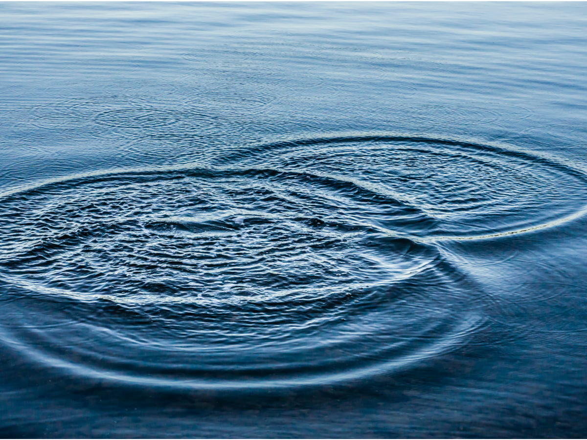Ripples on the water