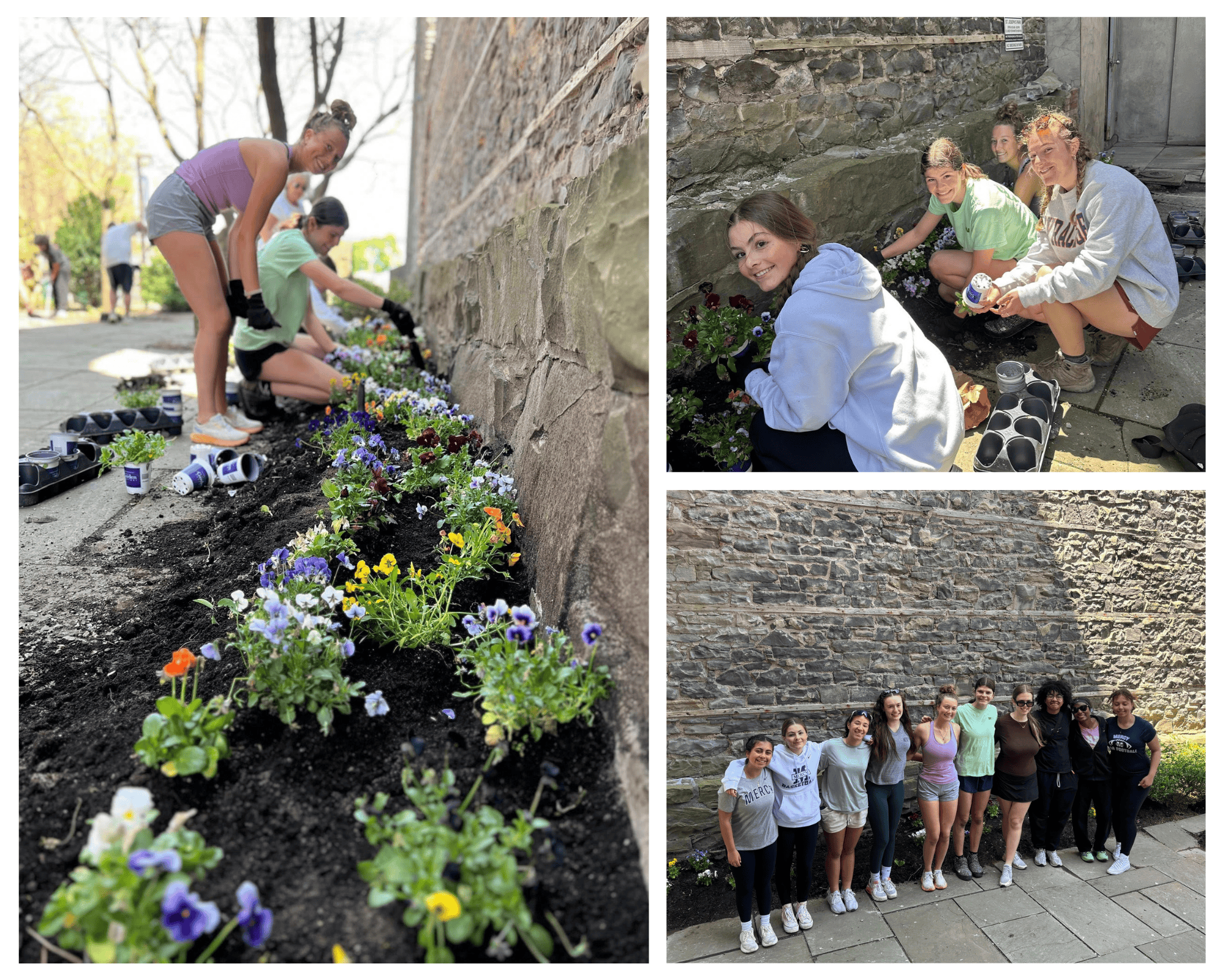 Mercy flag football volunteers
