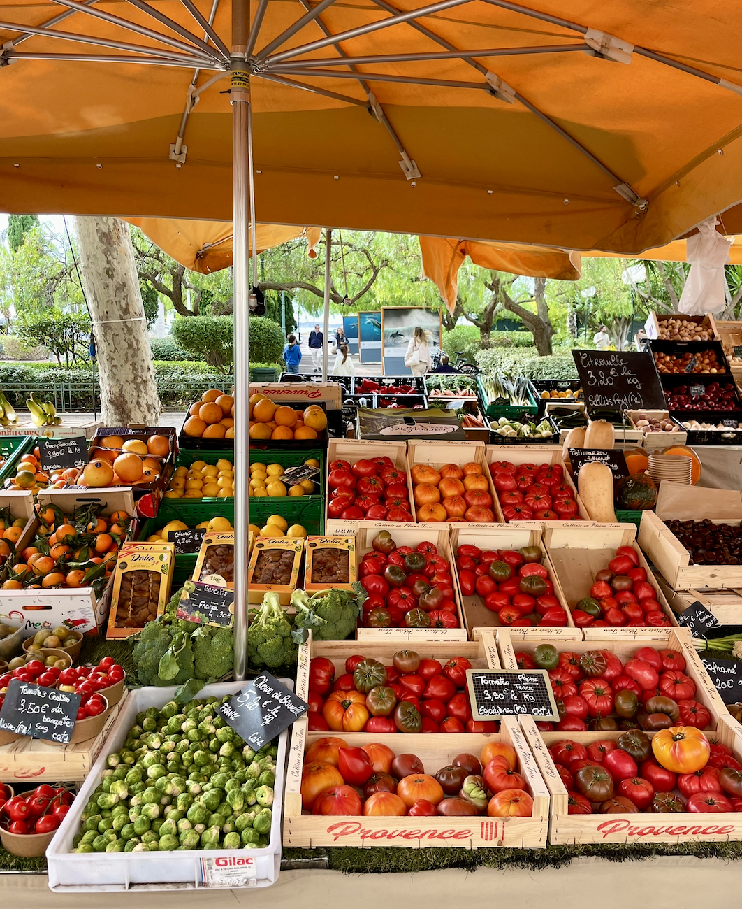 Provence utazási tippek