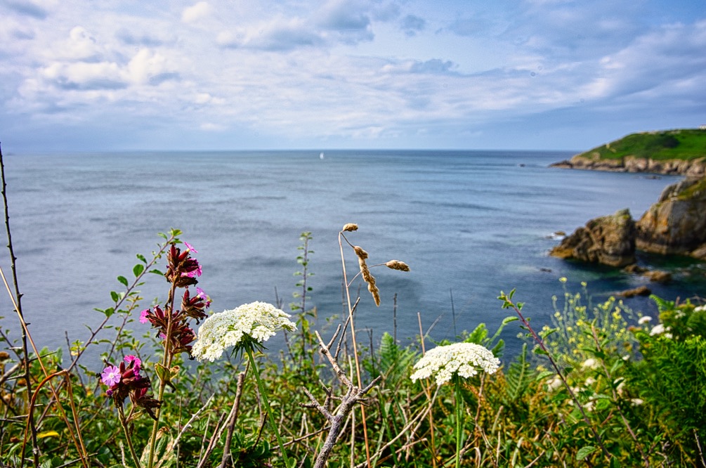 Formation Luminar NEO avant/après