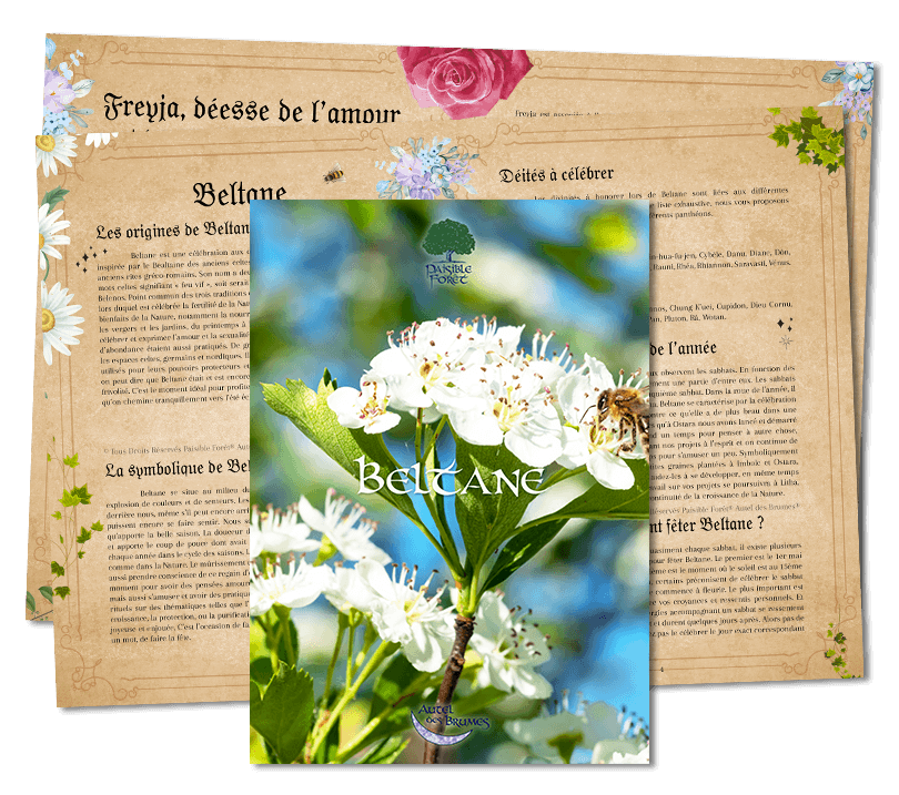 Extrait Livret-grimoire Boussole de Beltane