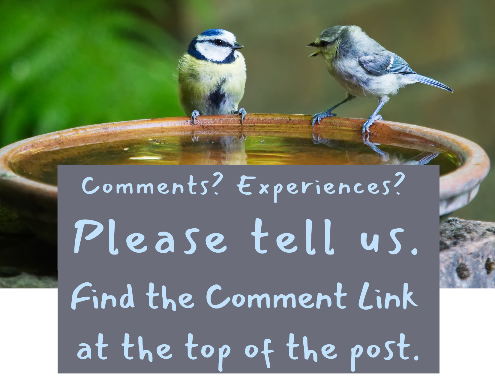 Comments or Questions?