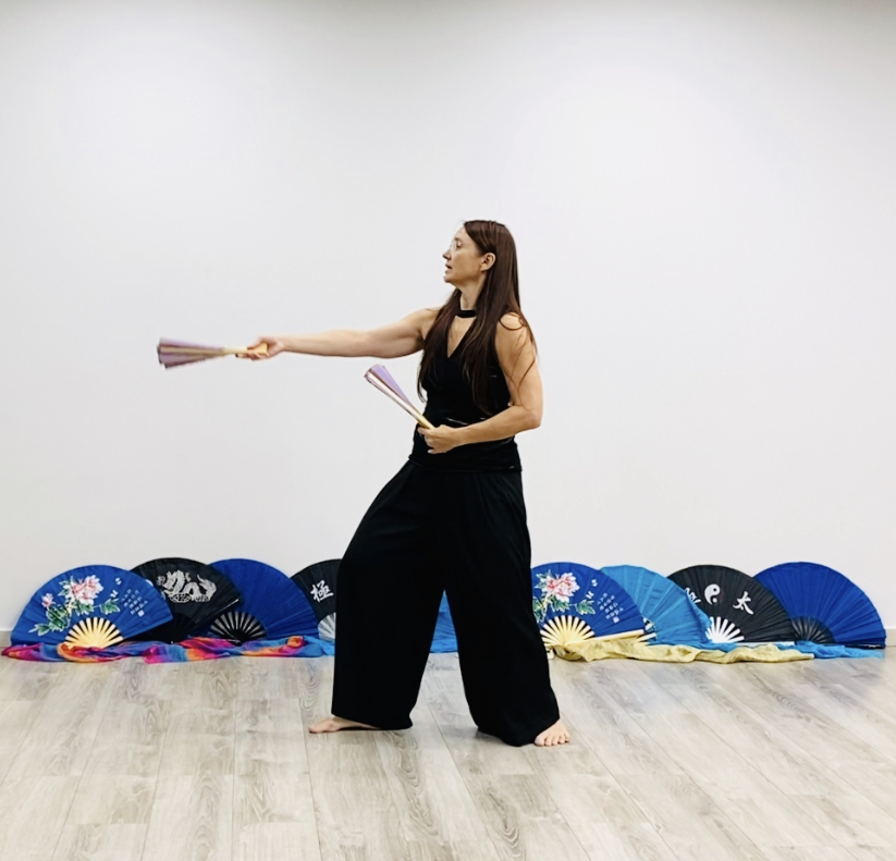 Taichifanflow: winter solstice daily movement - day 3