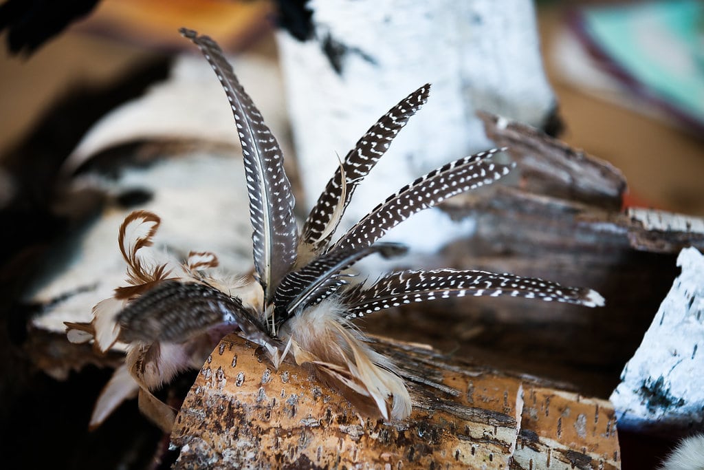 “[She] was afraid that he would be taken for a wild bird and shot or killed” (feathers representing birds as food source) -Ch. 1 - story prop from THE BIRCHBARK HOUSE by Louise Erdrich