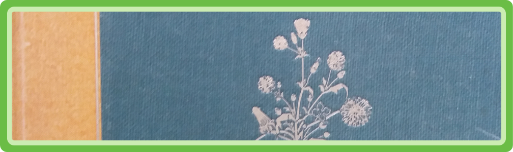 Omslag van het boek De geurende kruidhof door M.C. Blöte