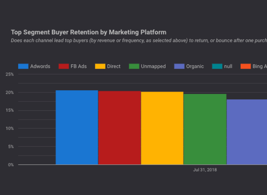 segment retention by marketing channel