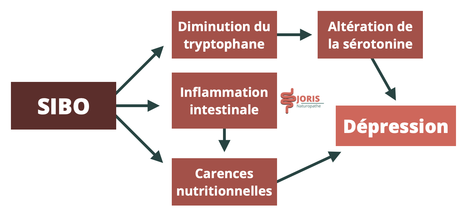 SIBO stress et dépression