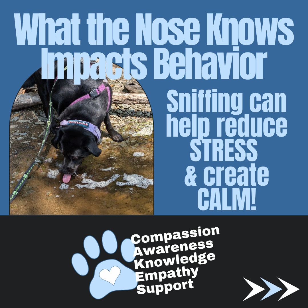 What the Nose Knows Impacts Behavior, Sniffing reduces stress.