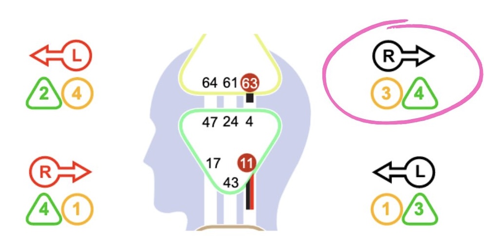 human design motivation variable