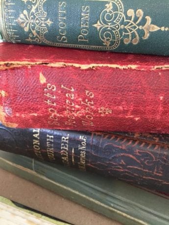 Books by Sir Walter Scott, one of Anne of Green Gable's favorite authors - a story prop idea from LitWits Workshops