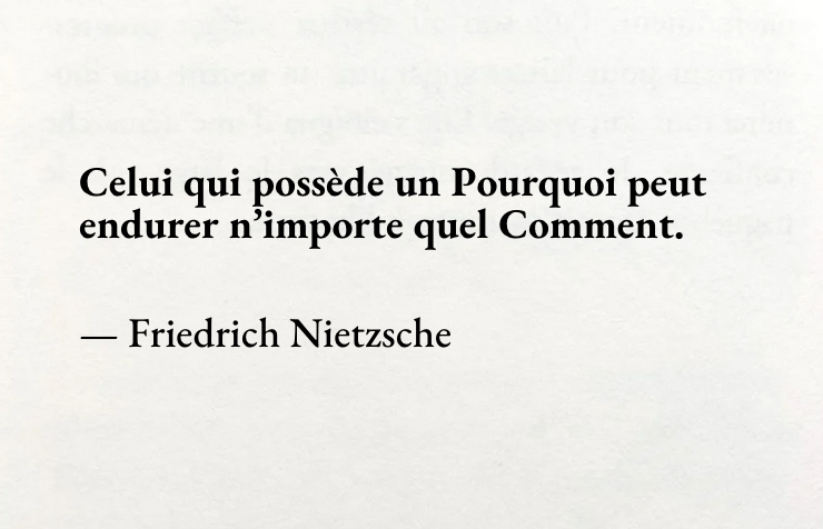  Friedrich Nietzsche — La méthode alignée