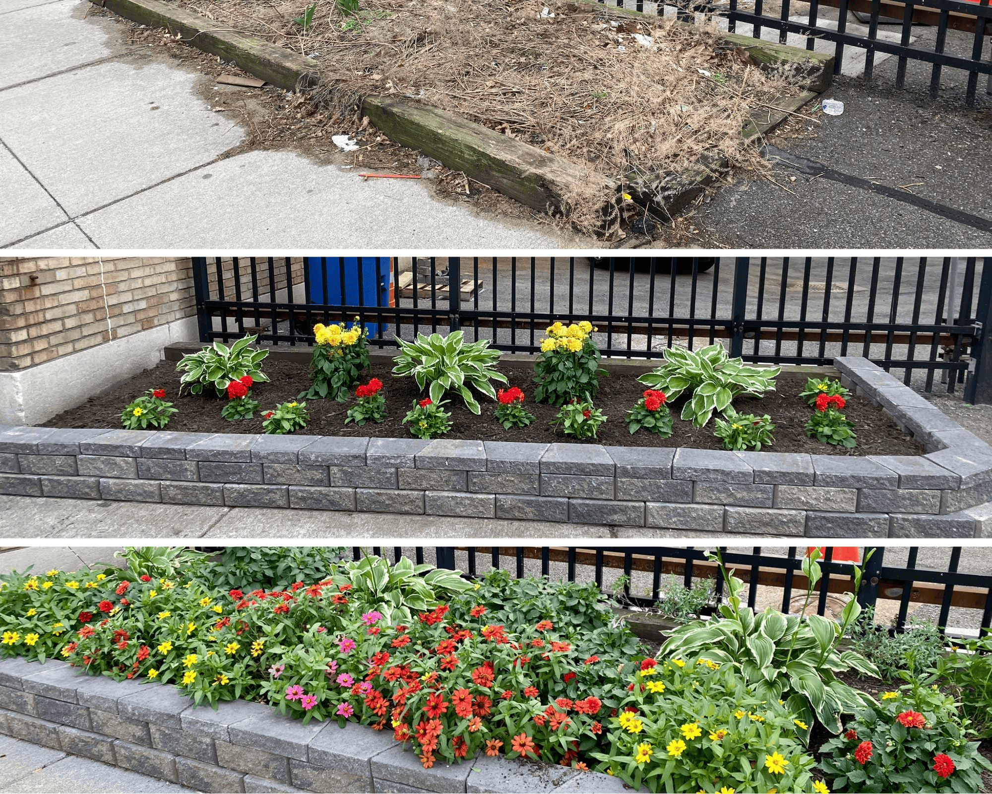 3-month time lapse on Lawn Street!