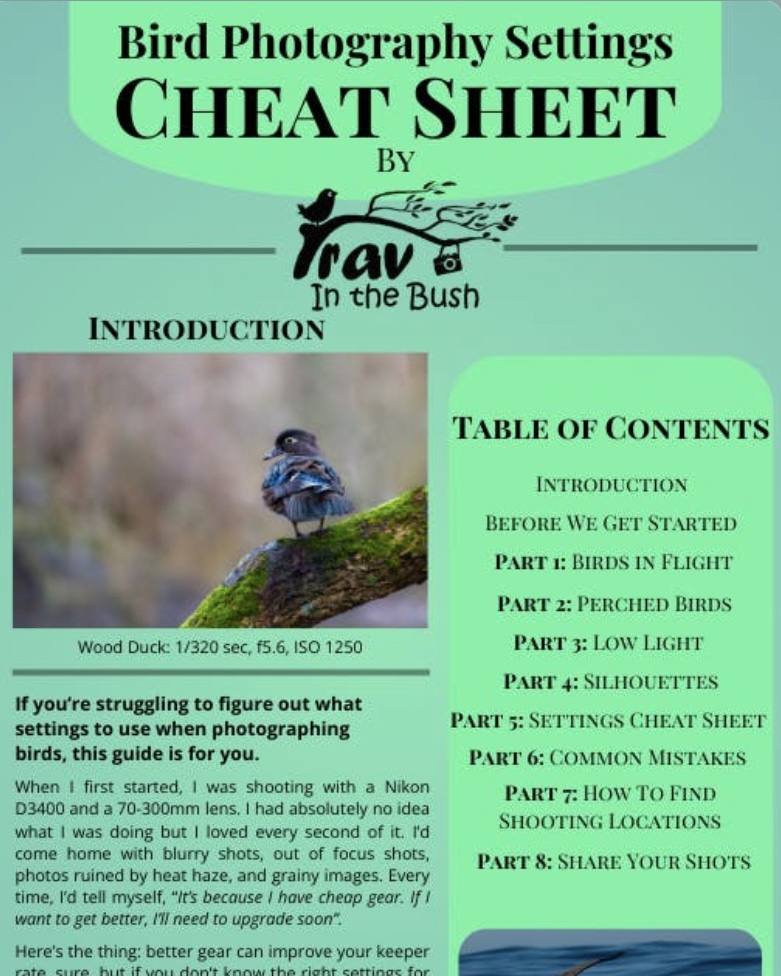 title page of ebook