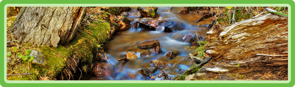 Een waterstroom om te volgen in je tuin