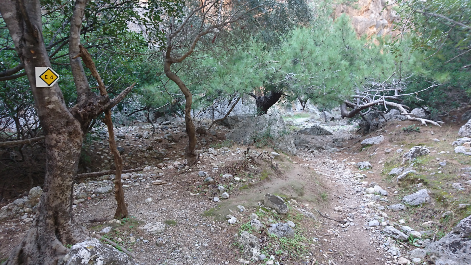 Lissos Gorge - Sougia, Crete Greece