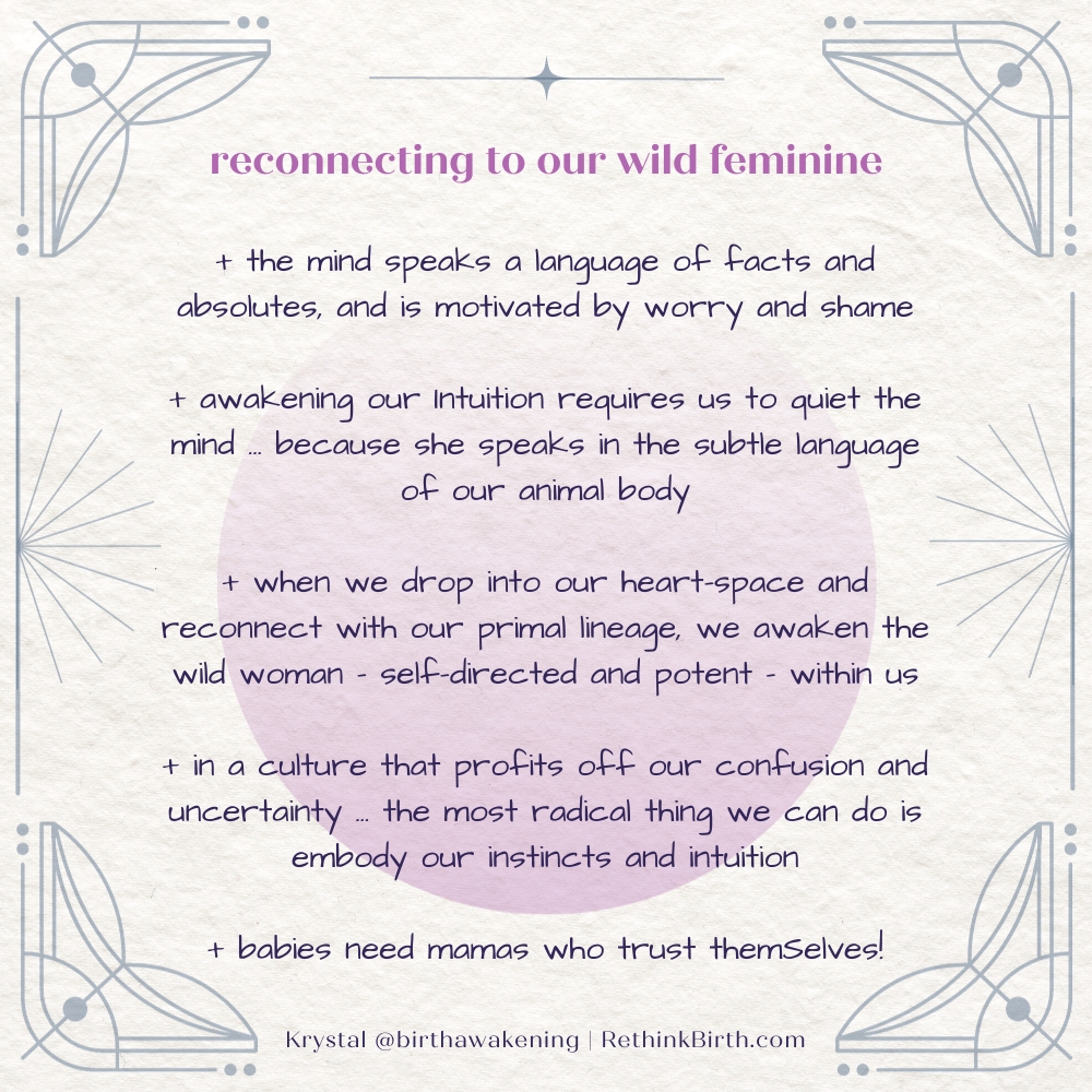 reconnect with your wild feminine