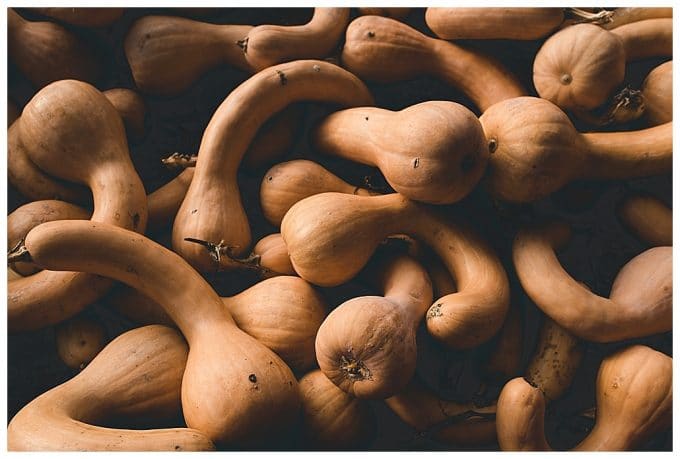 A close up shot of orange gourds to show the photography composition  rule of filling the frame. 