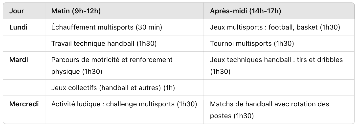 Stage alliant handball et activités multisports