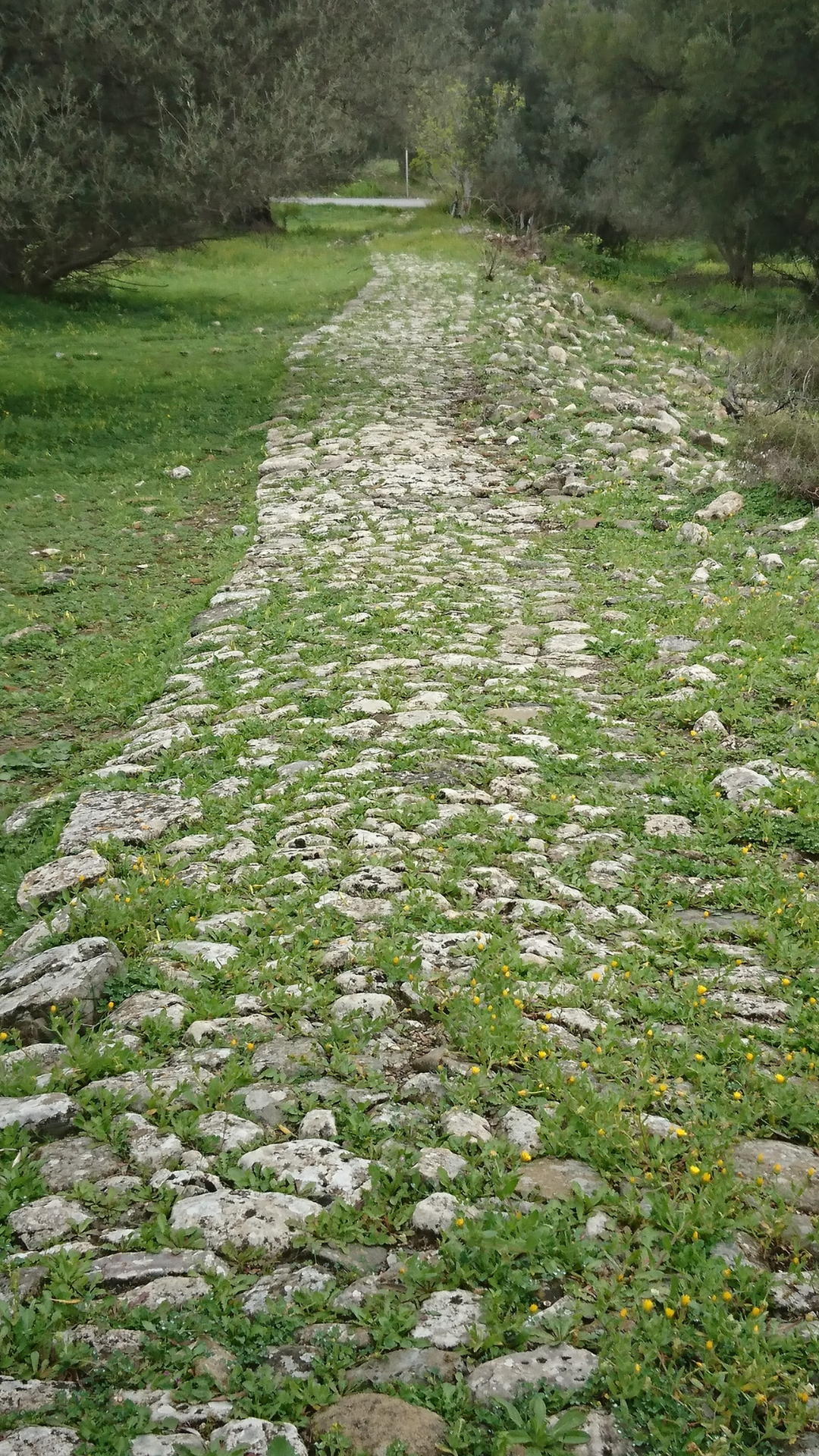 Stone path leading back to the road -Gortyn Crete