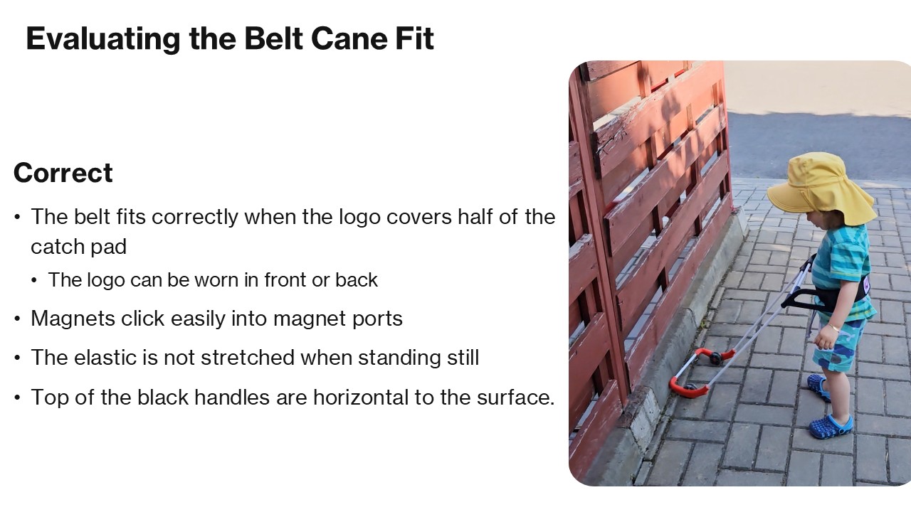 Evaluating the Belt Cane Fit Correct The belt fits correctly when the logo covers half of the catch pad Magnets click easily into magnet ports The elastic is not stretched when standing still The logo can be worn in front or back Top of the black handles are horizontal to the surface.