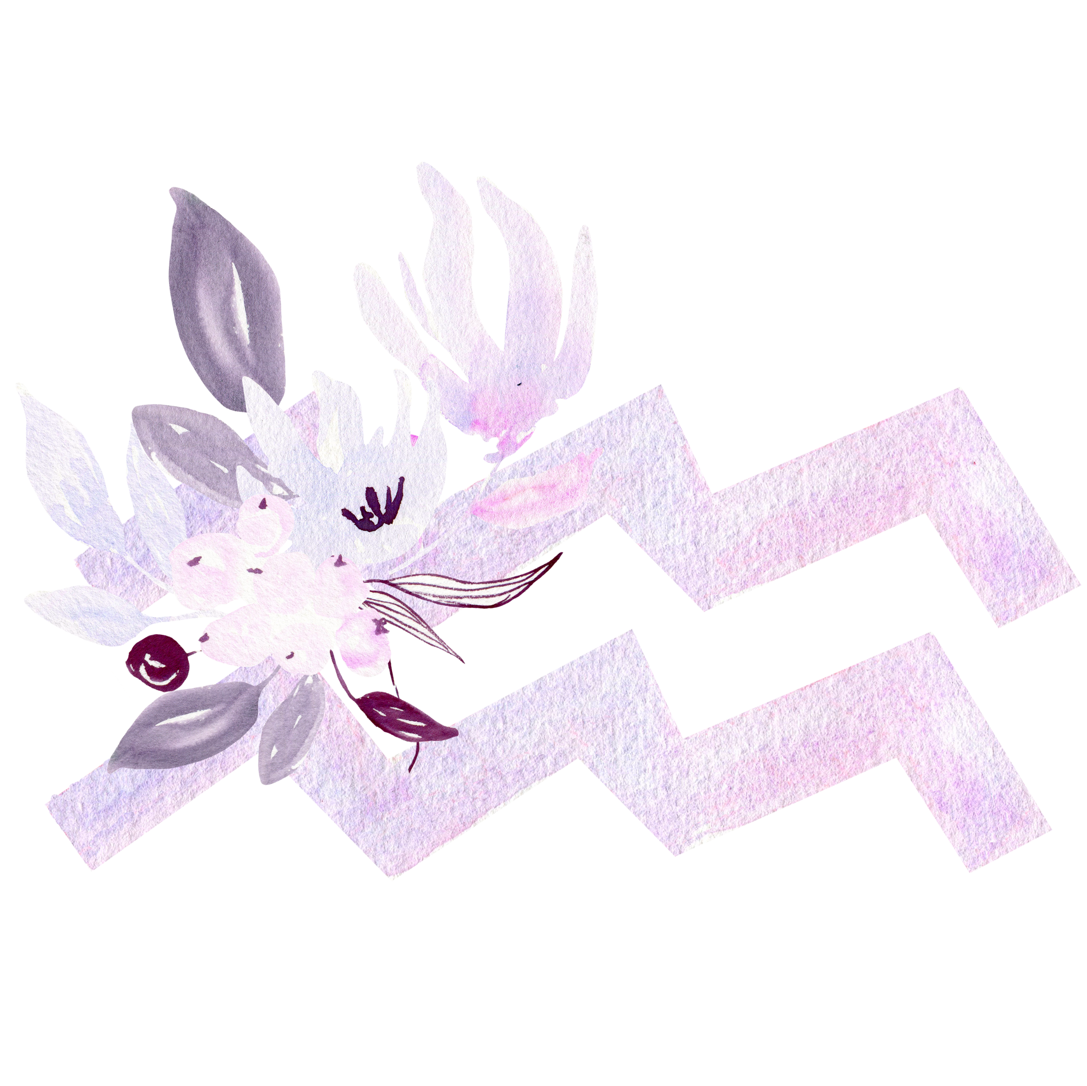 12 Day of Aires - Day Eleven Meditation - Sign of Aquarius