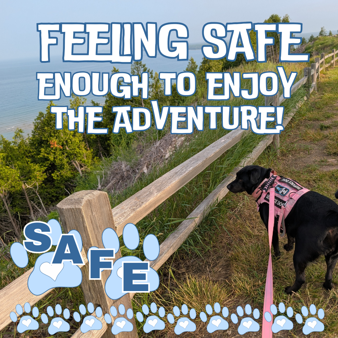 A black lab in a pink harness looks beyond a fence at a cliff leading down to Lake Michigan. Text says: Feeling SAFE enough to enjoy the adventure.