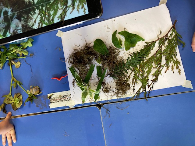 an image of children arranging natural materials for animation