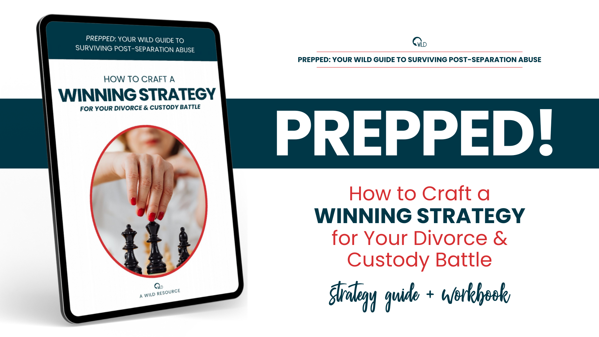 Is this abuse course domestic violence divorce